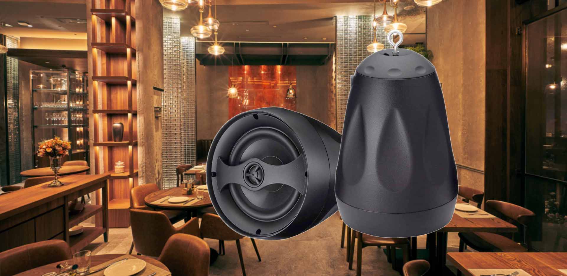 Outdoor IP66 All Weather Waterproof Multi-purpose Speakers