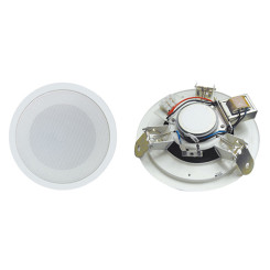 Ceiling Speaker