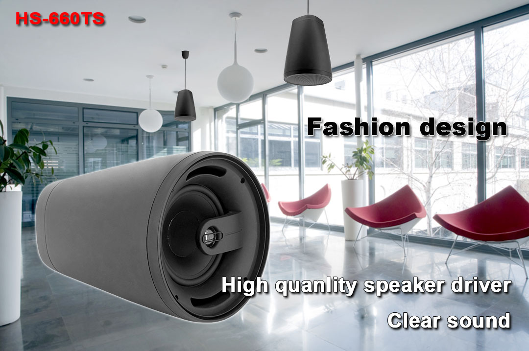 HS-660TS Outdoor Pendant Speaker