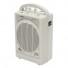 PP-116U 35W Portable Wireless PA Amplifier with USB MP3 Player
