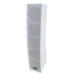PS-H555 80W Professional Speaker