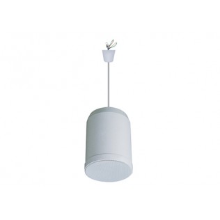 H-308/H-325 5"/6.5" 10W/20W ABS Pendant Speaker